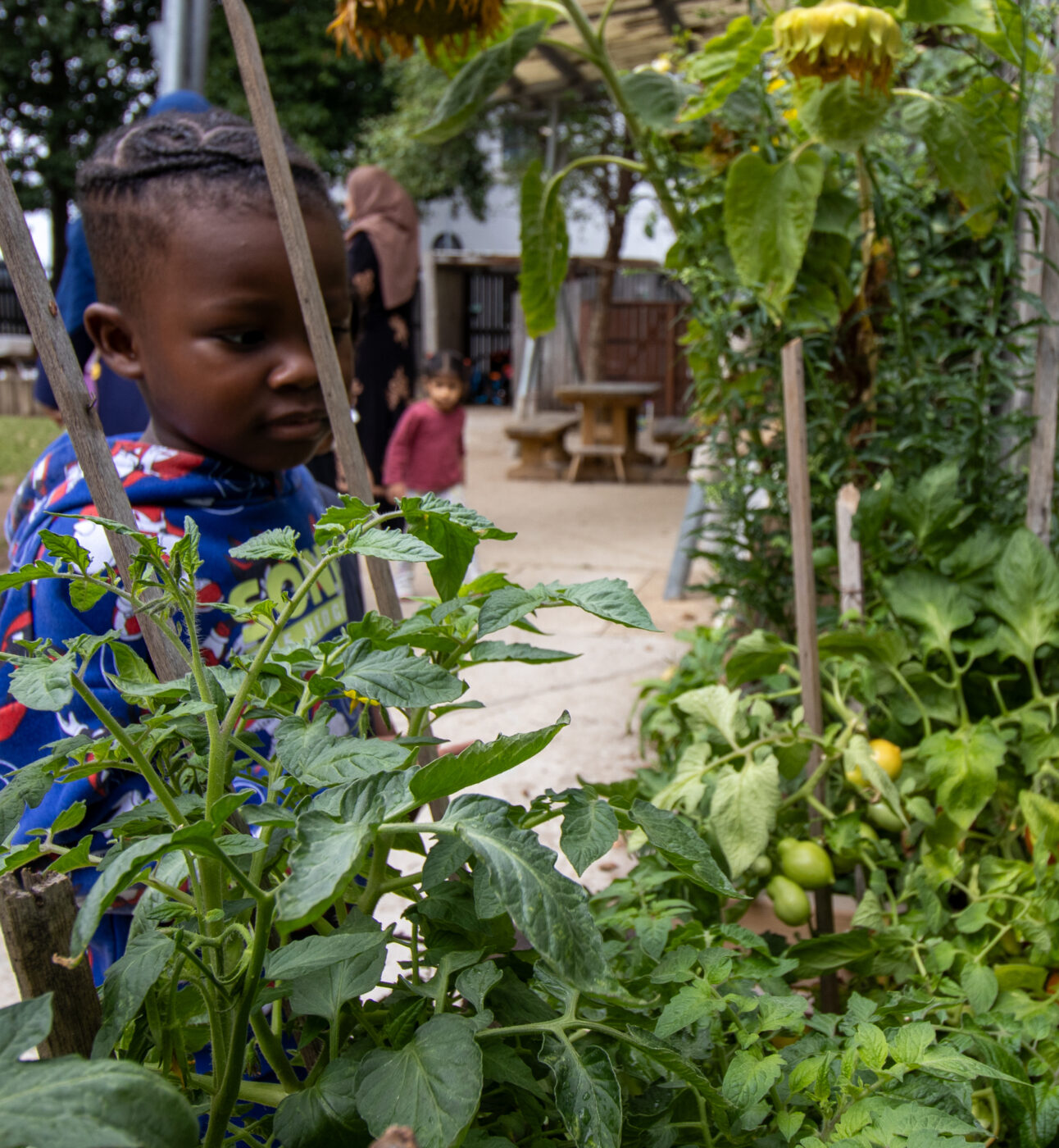 Exploring plants at LEYF Children's Garden Nursery